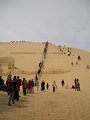 dune du pyla (4)